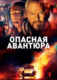 Опасная авантюра (2018)