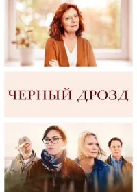 Чёрный дрозд (2019)