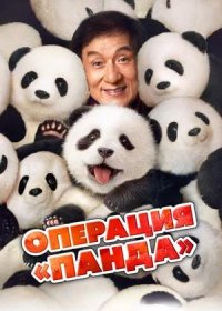 Операция «Панда» (2024)